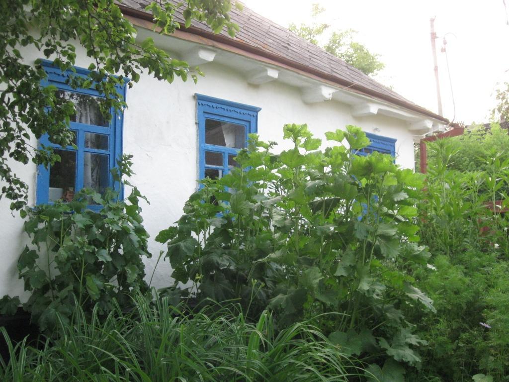 Kалиновий Kущ Dmitrenki Exterior photo
